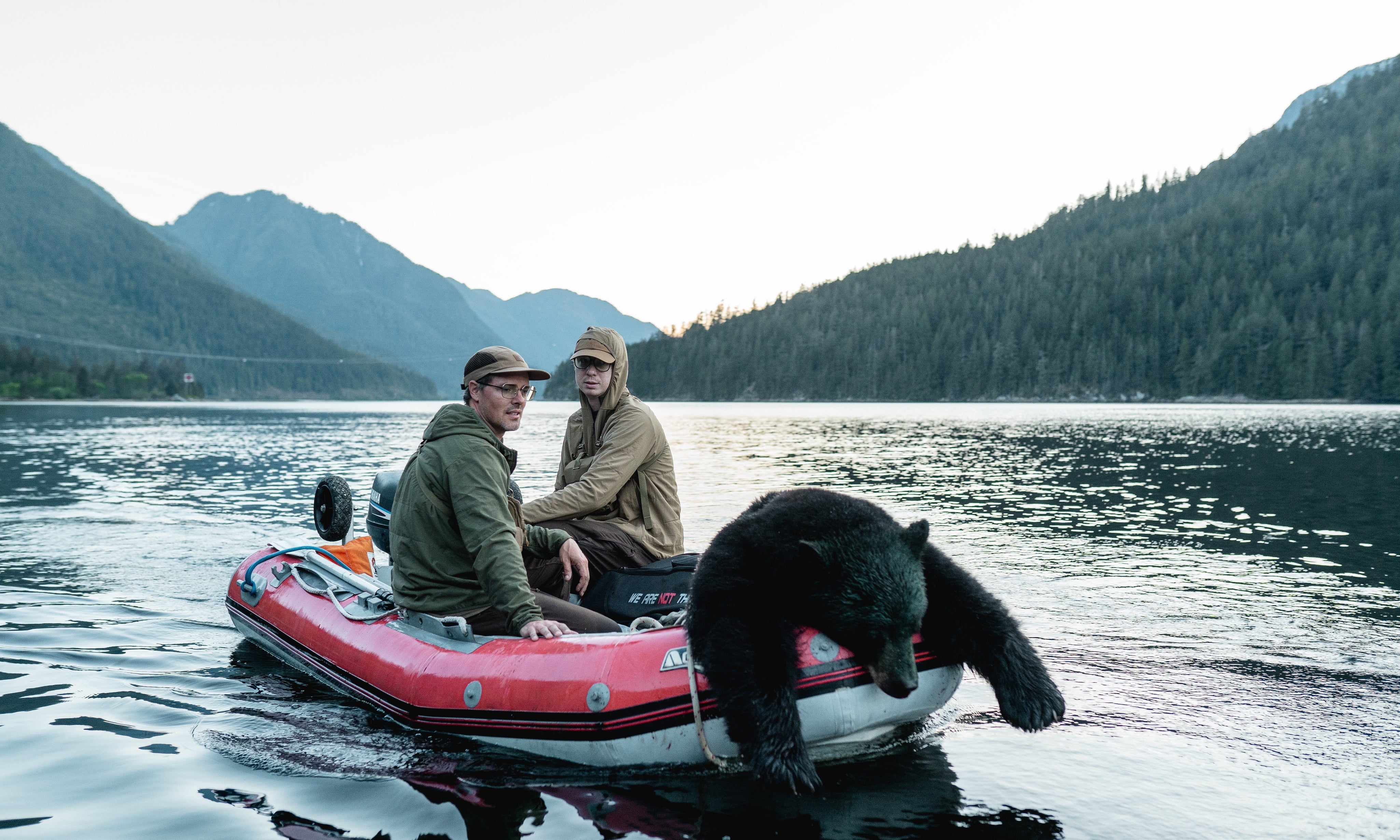 Spring Bear Hunting in BC: Everything You Need to Know (Season, Tags, Gear)