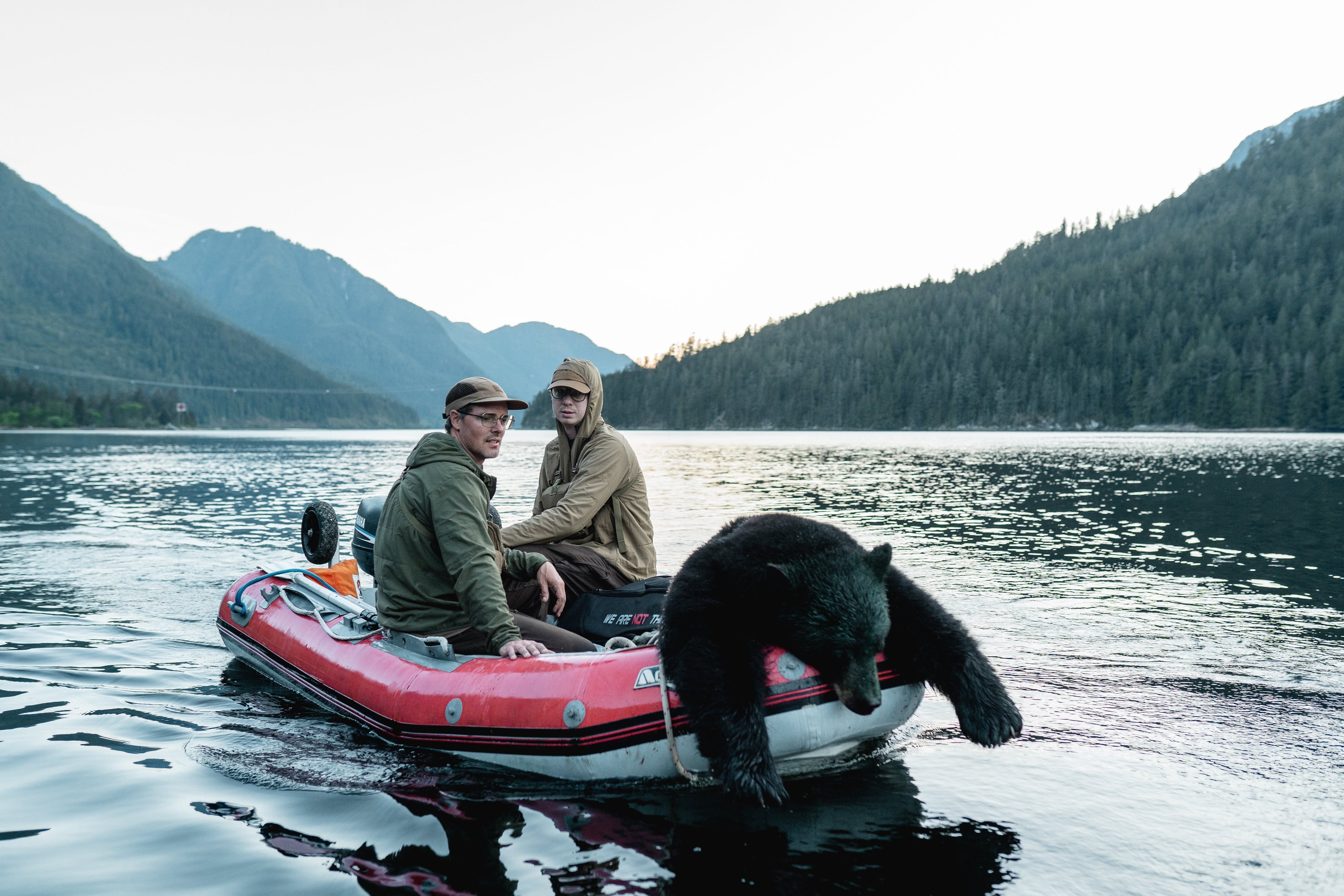 Spring Bear Hunting in BC: Everything You Need to Know (Season, Tags, Gear)