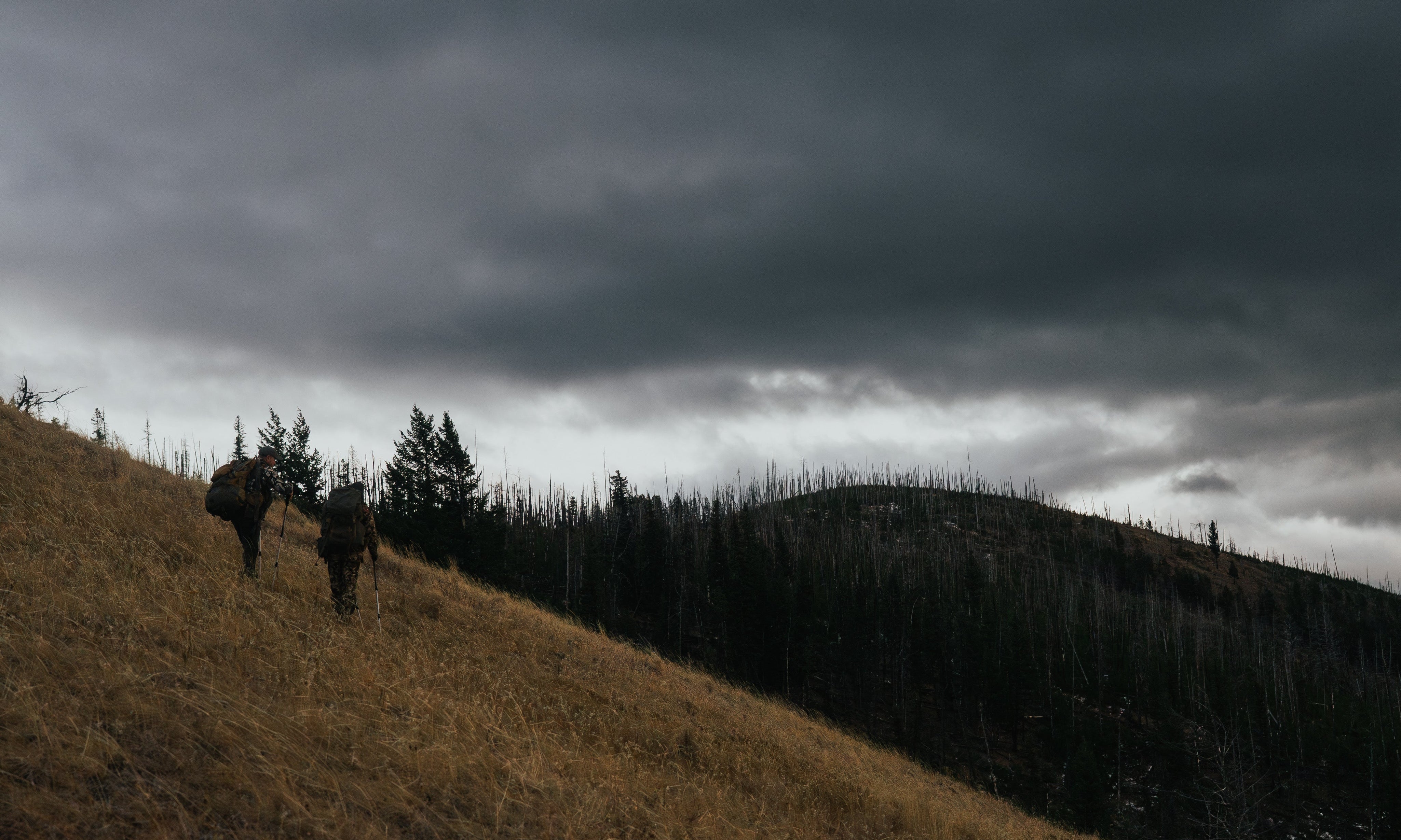 Fargone Podcast Ep.9 - Conservation in BC, can we do better?