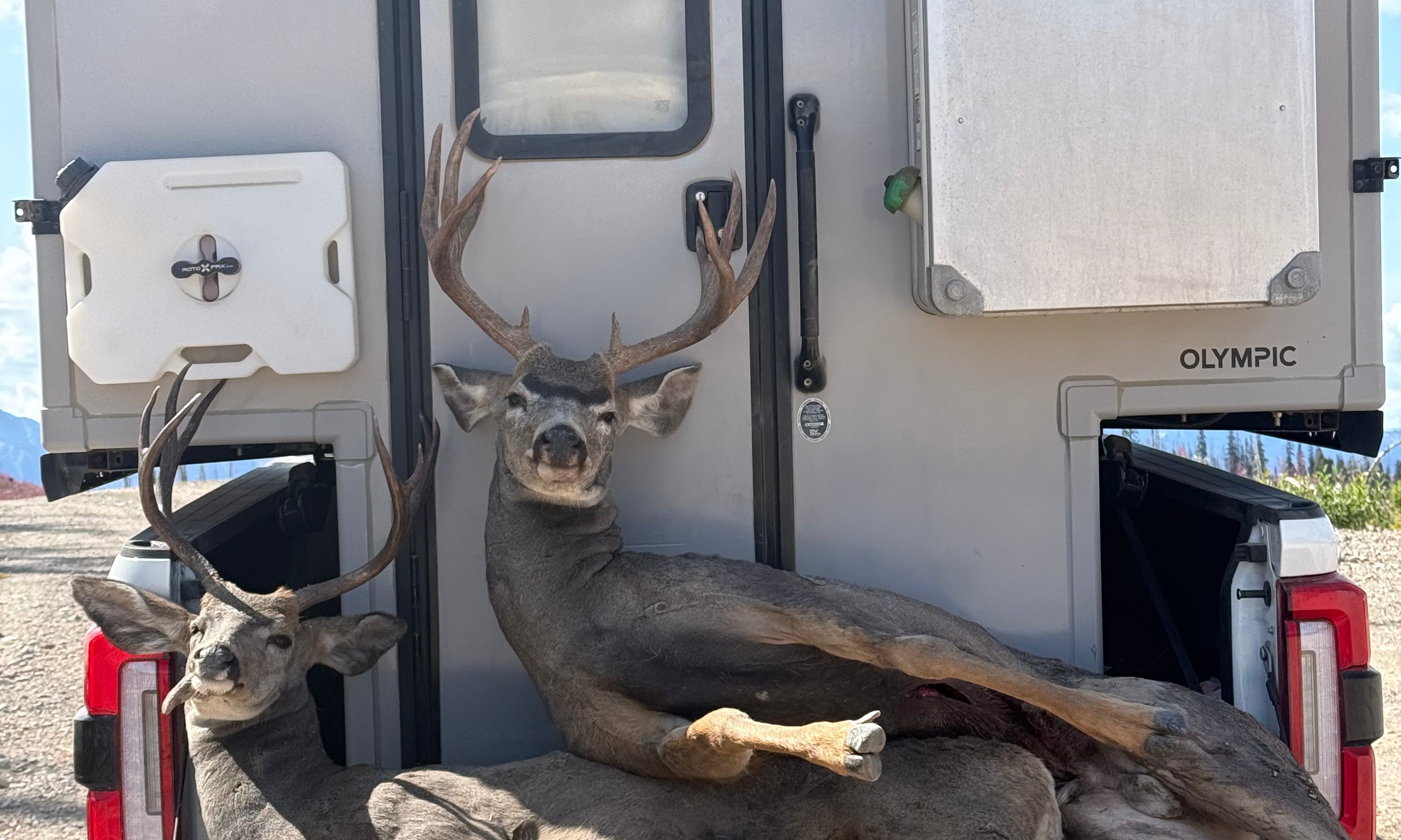 Two Buck's, 24 Hours