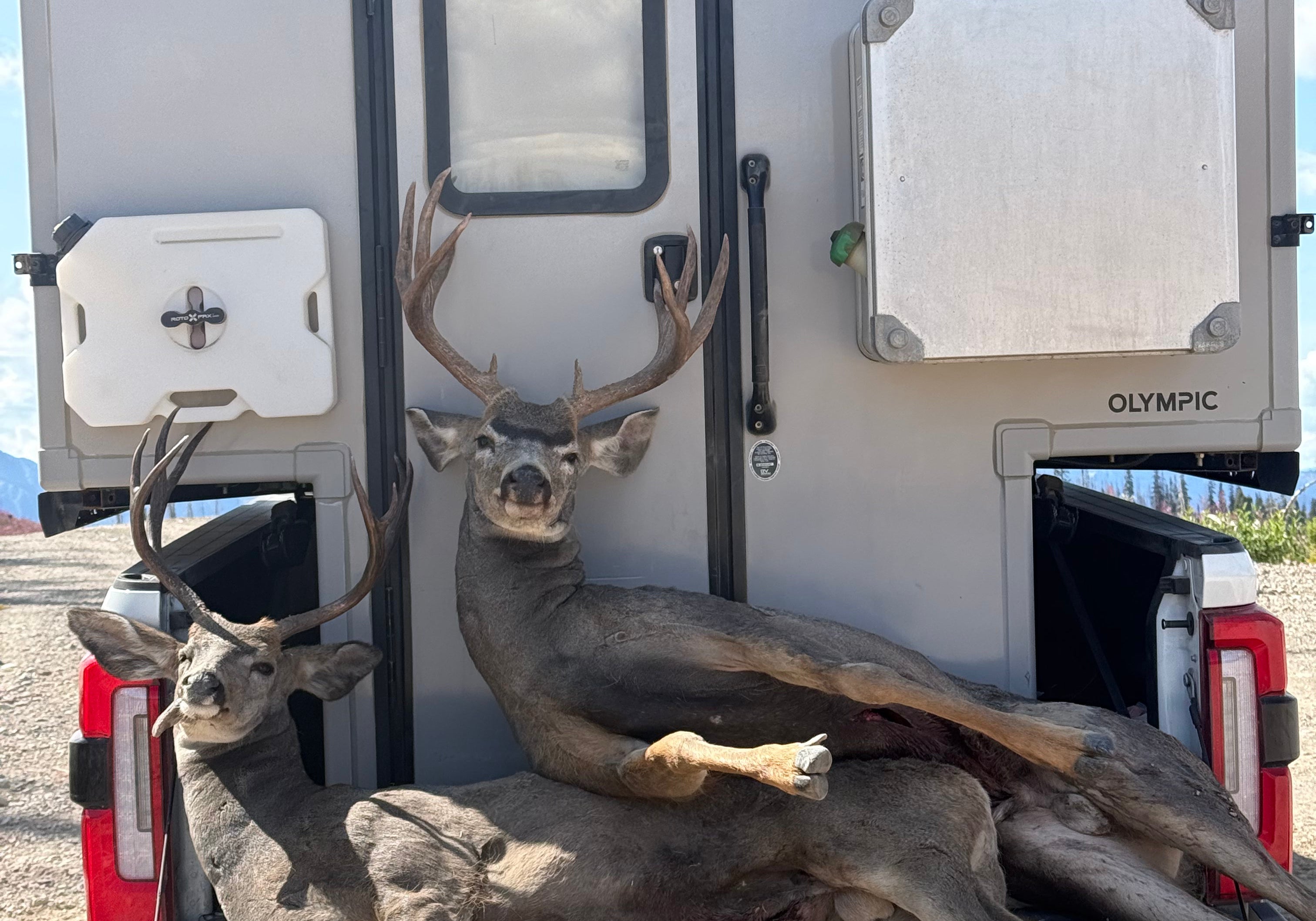 Two Buck's, 24 Hours
