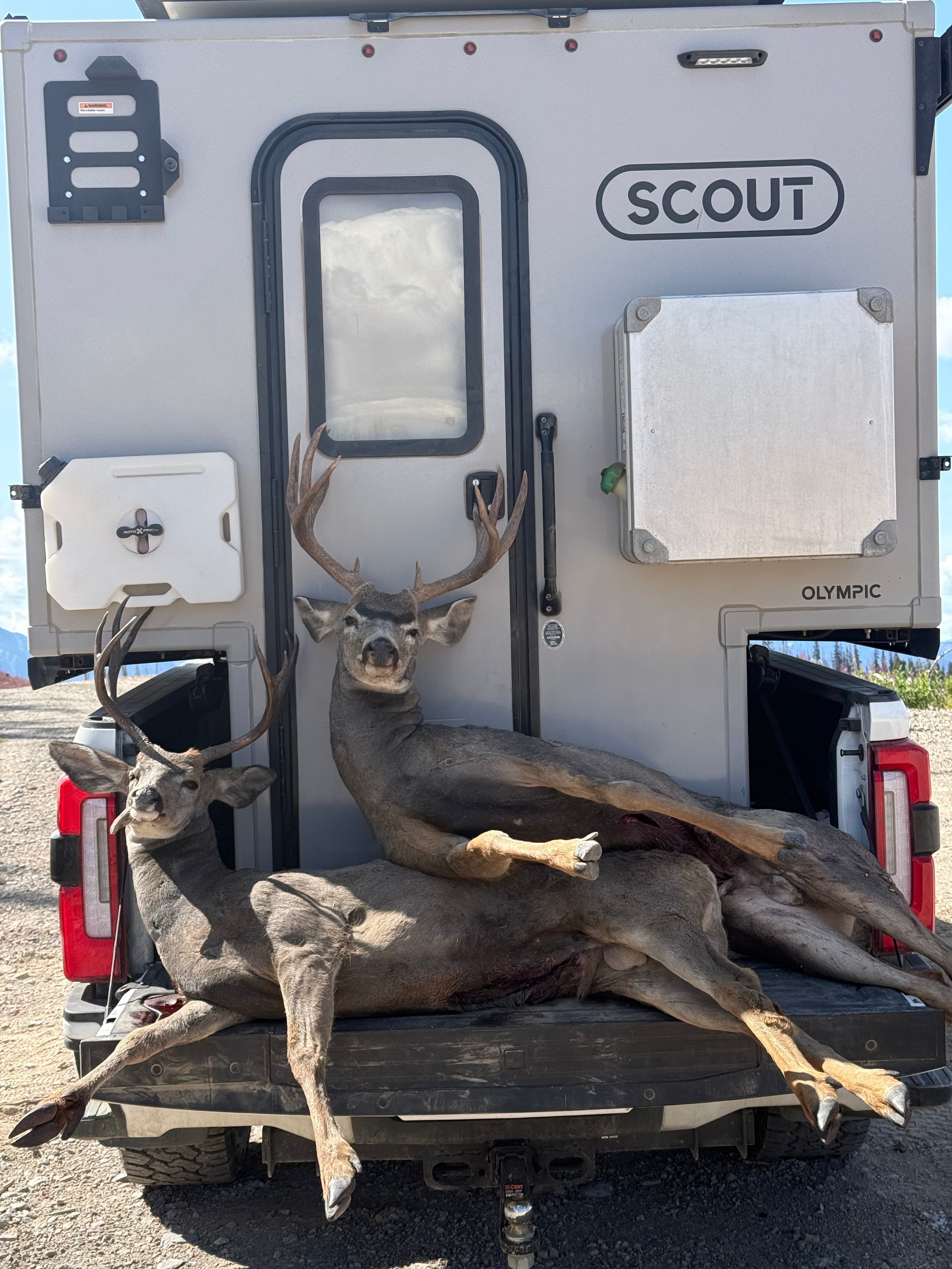Two Buck's, 24 Hours