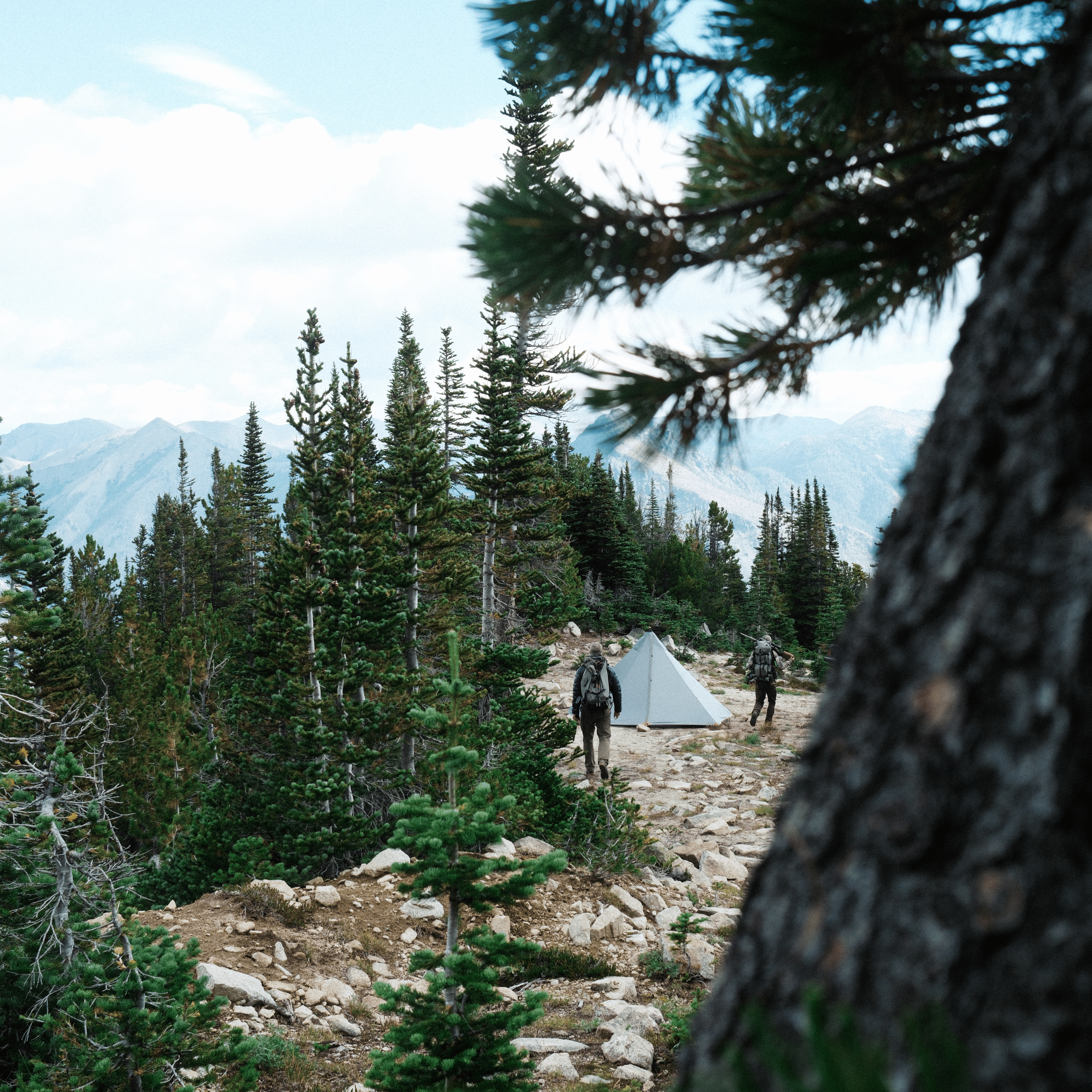 Camp