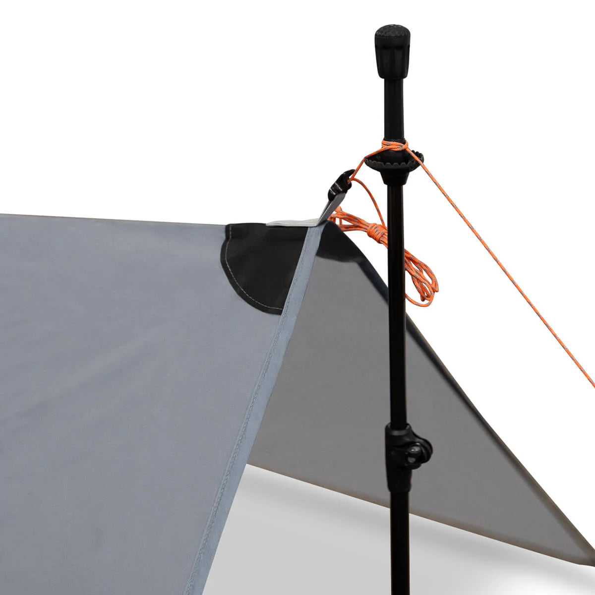 Talus Tarp