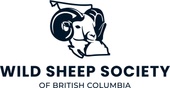 WSSBC-Logo.webp